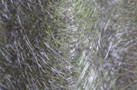 North Kilworth fibreglass roof work